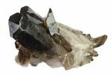 Dark Smoky Quartz Crystal Cluster - Brazil #137836-1